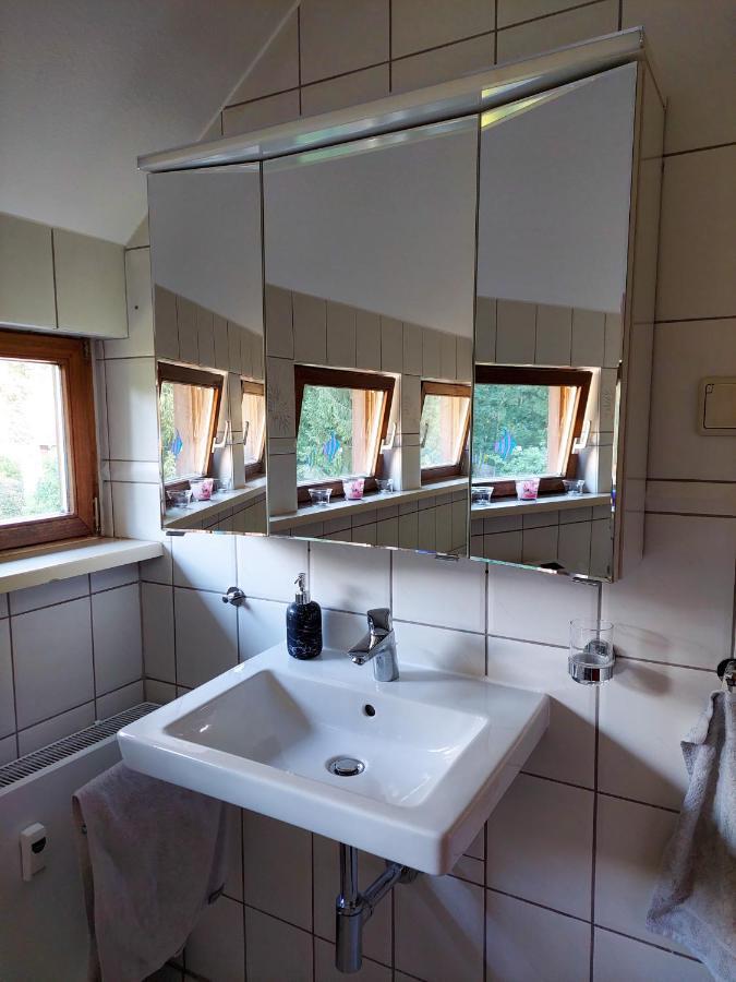 Gemuetliche Ferienwohnung Im Harz Bad Grund Εξωτερικό φωτογραφία