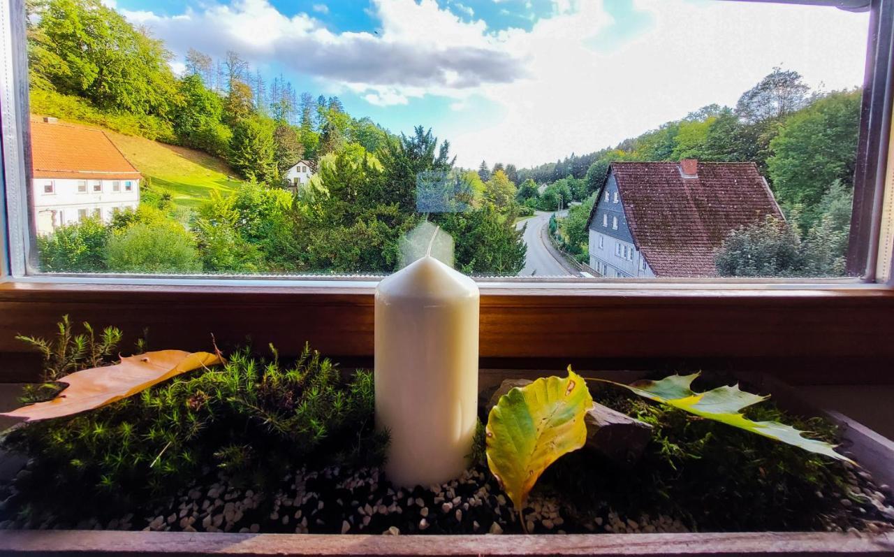 Gemuetliche Ferienwohnung Im Harz Bad Grund Εξωτερικό φωτογραφία